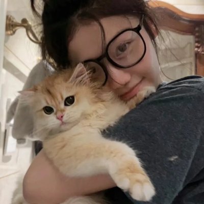 灵探特莱丝