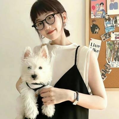纸钞屋第二季